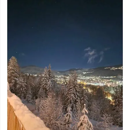 Ut